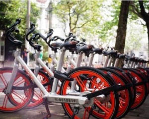 摩拜早期投資人劉二海：當(dāng)你足夠強(qiáng)大，自不必與巨頭為伍